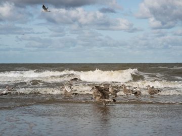 3 Personal Branding Lessons from Second-Act Founders