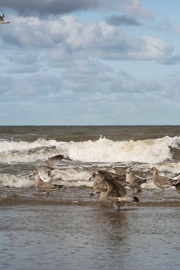 3 Personal Branding Lessons from Second-Act Founders