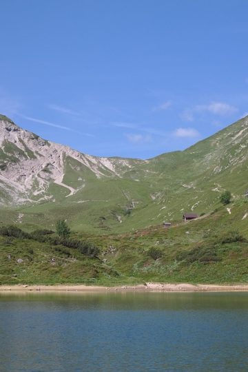 Dyanna Lynn White releases AI‑crafted music album