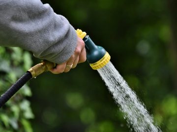 Lessons on maintaining your humanity in the world of AI technology