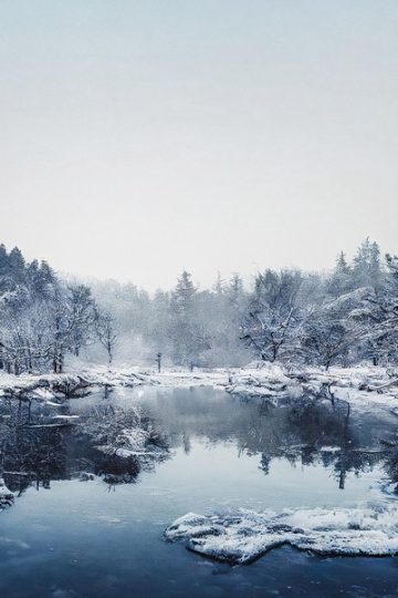 Does Your Organization Need an AI Ethics Committee?