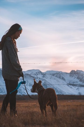 "She knew instantly": Dog's hilarious reaction has owner in stitches