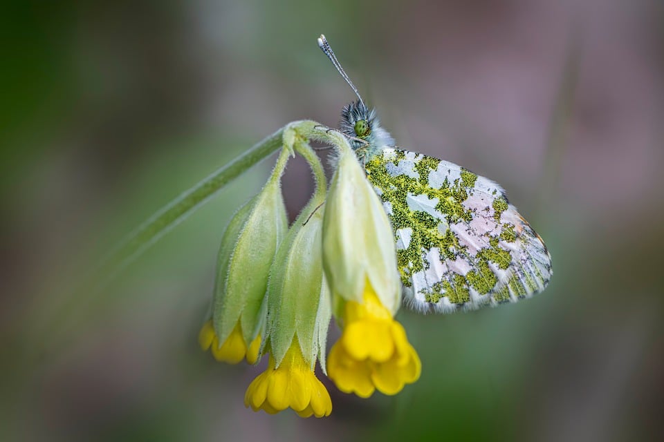 Google Could Release New 3.8 Flash AI Model As Soon As Wednesday, Says Report — GOOGL Stock Gains After-Hours